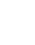 Sanitium Logo